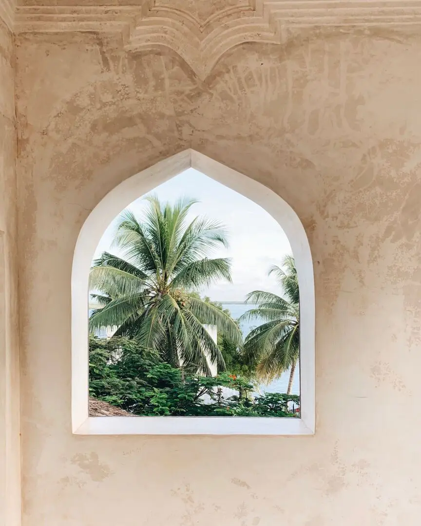 000025B animacion caoba madera-35.webp